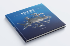 Requins, guide de l’interaction