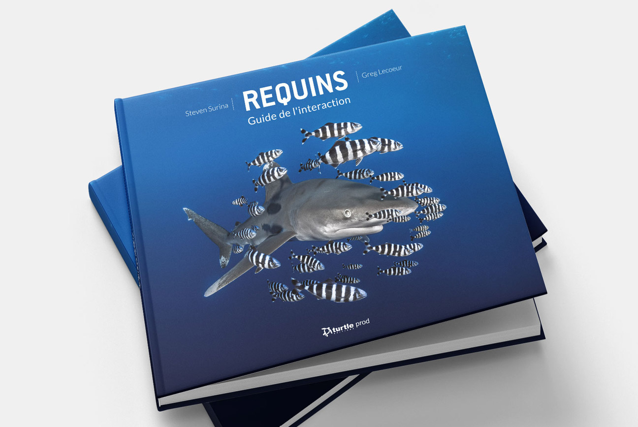 Requins, Guide de l’interaction Par Steven Surina et Greg Lecoeur